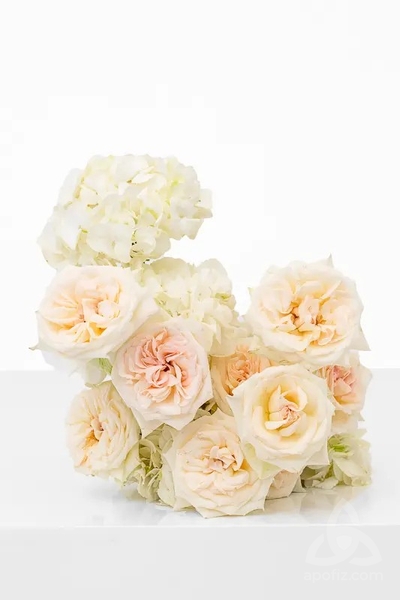 image_1b099ac0.jpg