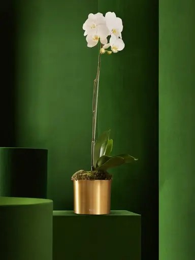 image_5c6e04dd.jpg