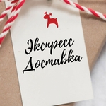 Экспресс доставка