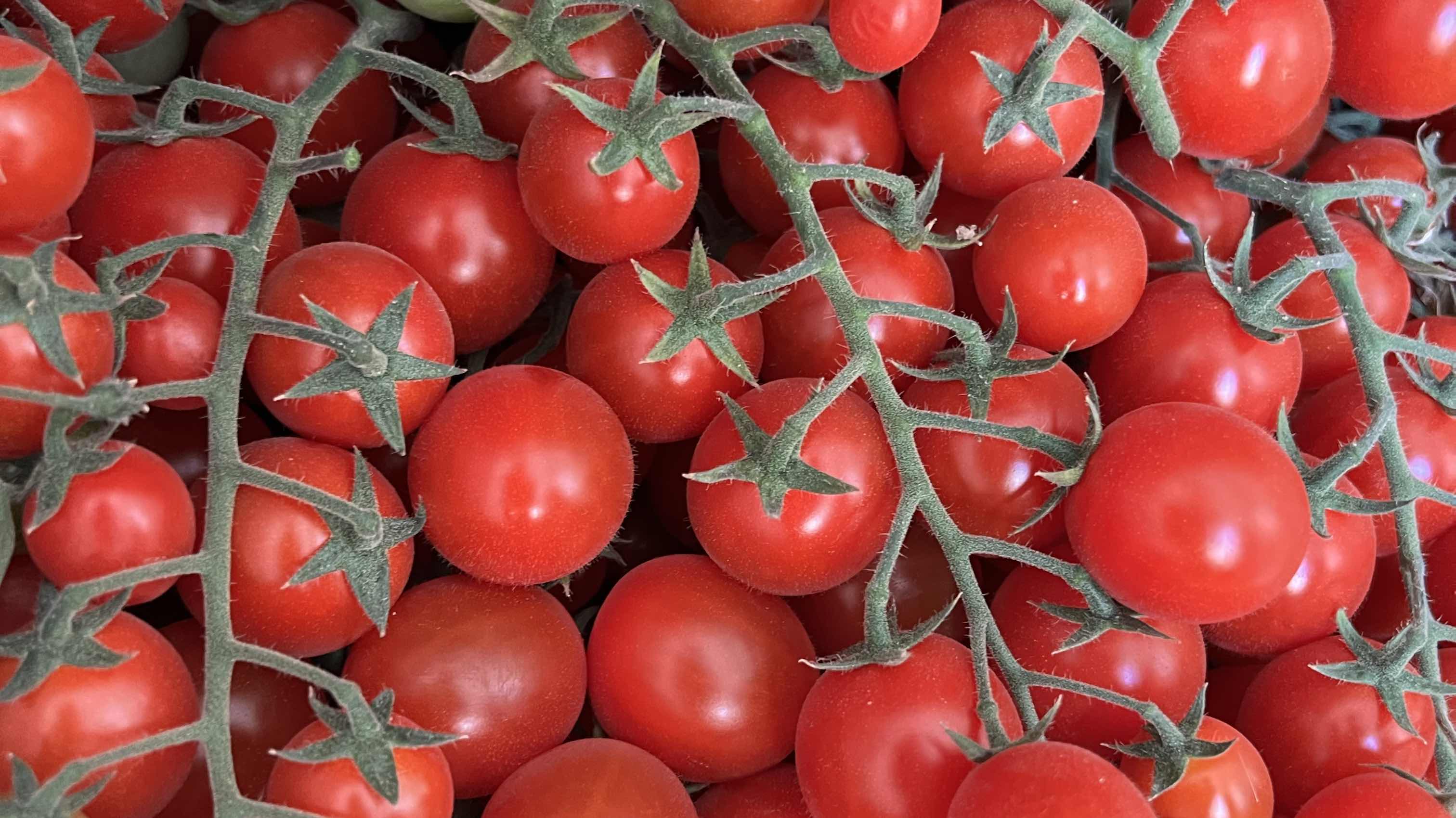 Gulf Growers